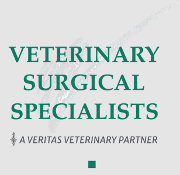 Veritas Veterinary Partners Logo
